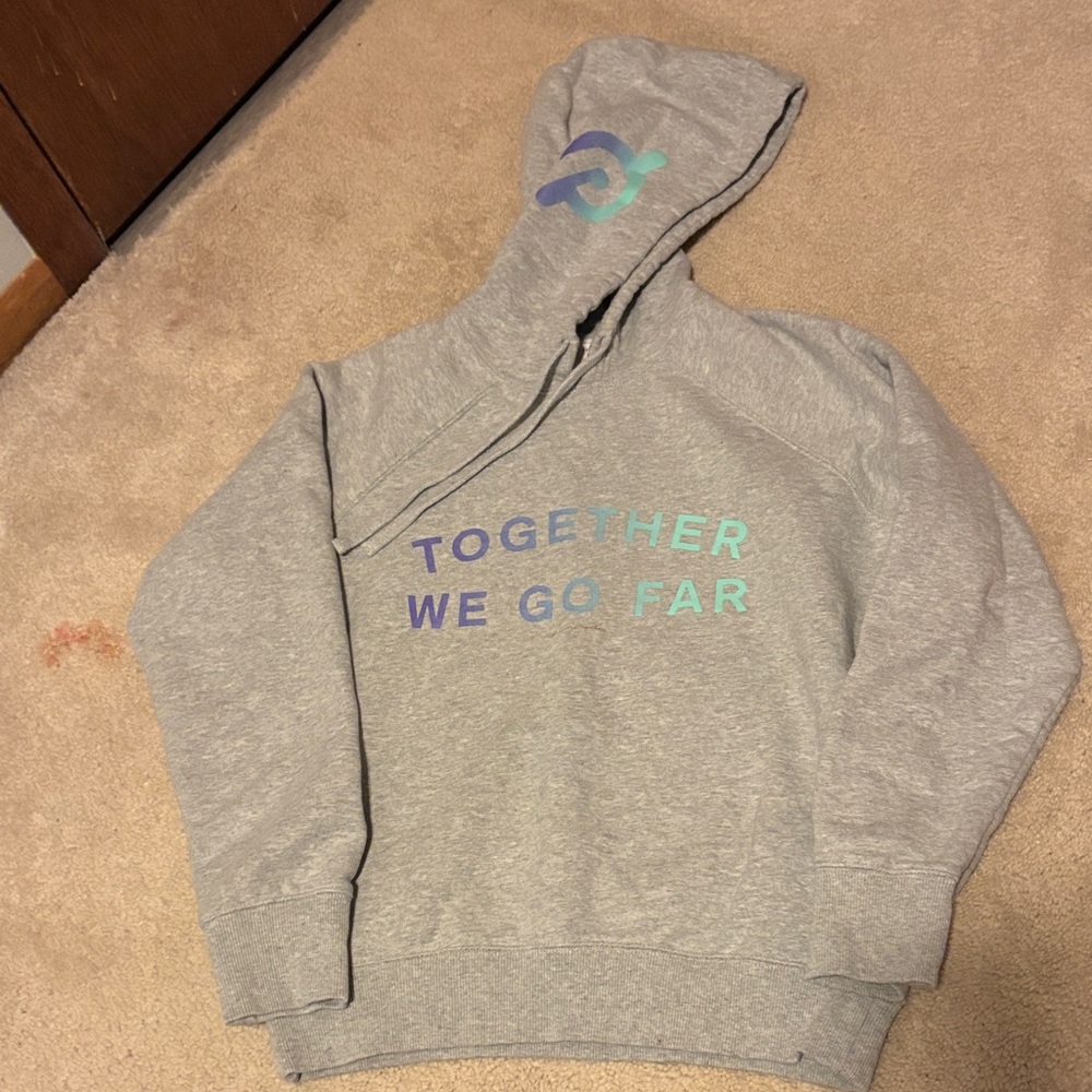 Gray Hoodie with Blue and Green Lettering